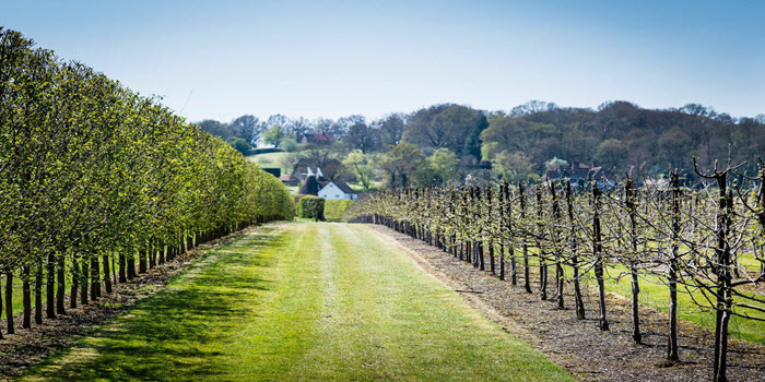 hushheath winery romantic place 