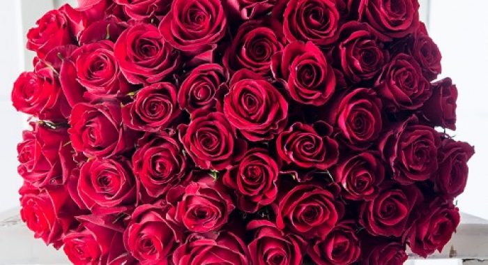 50_red_roses