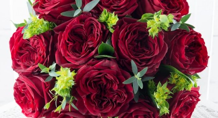 red_garden_roses